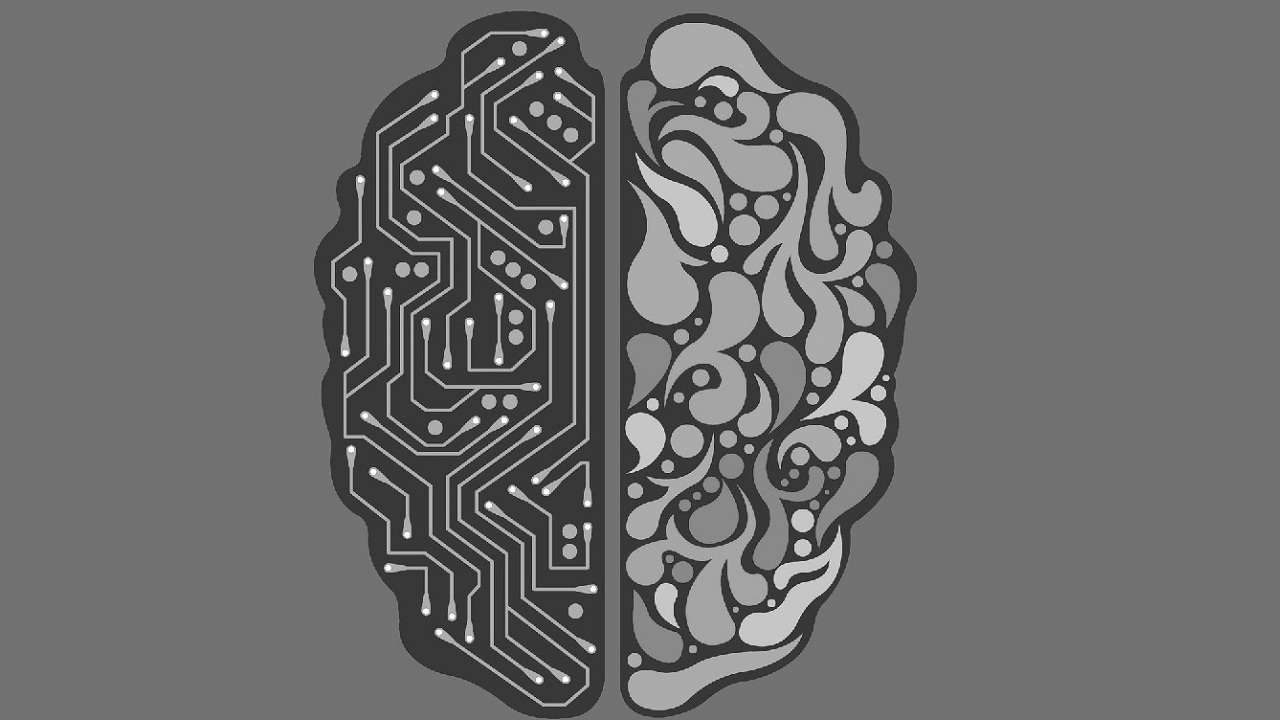 Oliver Dul: Y7: Expert Learner’s Manifesto