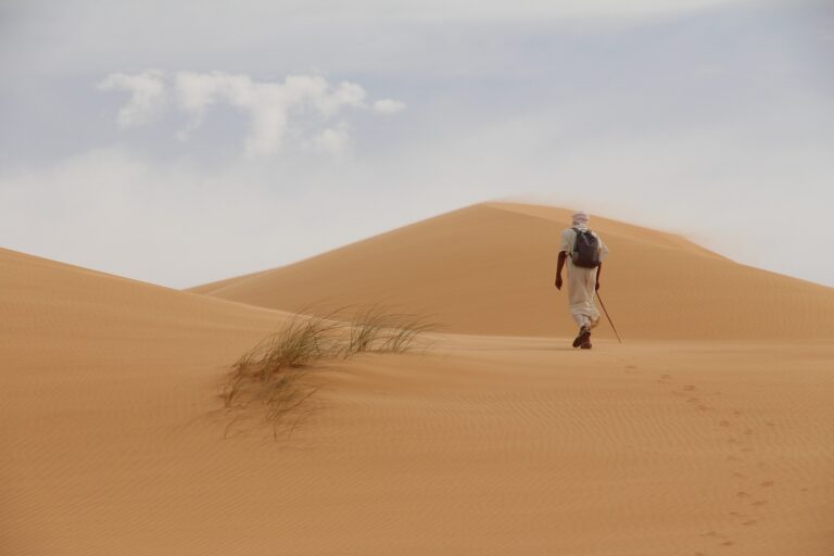 The Dream in the Dessert